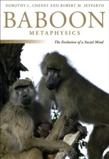 Baboon Metaphysics : The Evolution of a Social Mind