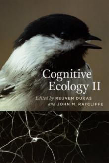 Cognitive Ecology II