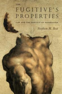 The Fugitive's Properties : Law and the Poetics of Possession