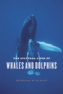 The Cultural Lives Of Whales And Dolphins