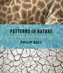 Patterns in Nature : Why the Natural World Looks the Way it Does