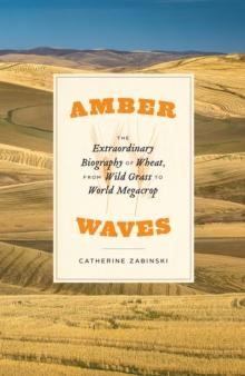 Amber Waves : The Extraordinary Biography of Wheat, from Wild Grass to World Megacrop