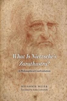 What is Nietzsche`s Zarathustra? - A Philosophical Confrontation