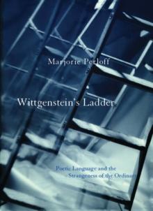 Wittgenstein's Ladder