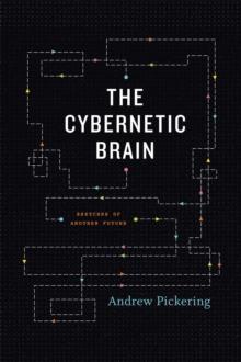 The Cybernetic Brain : Sketches of Another Future