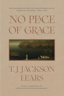 No Place of Grace : Antimodernism and the Transformation of American Culture, 1880-1920