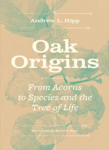 Oak Origins : From Acorns to Species and the Tree of Life