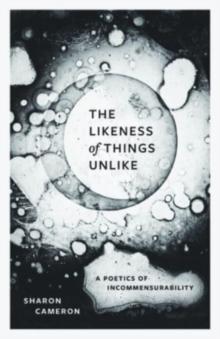 The Likeness Of Things Unlike : A Poetics Of Incommensurability