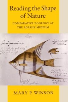 Reading the Shape of Nature : Comparative Zoology at the Agassiz Museum