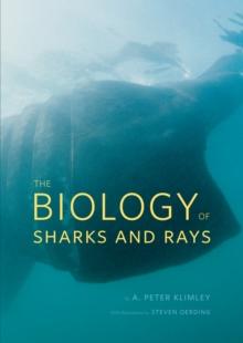 The Biology of Sharks and Rays