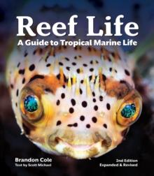 Reef Life : A Guide to Tropical Marine Life