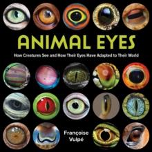 Animal Eyes : How Creatures See and How Their Eyes Have Adapted to Their World