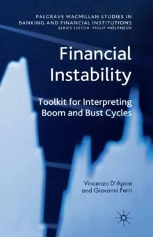 Financial Instability : Toolkit for Interpreting Boom and Bust Cycles