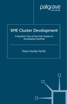 SME Cluster Development : A Dynamic View of Survival Clusters in Developing Countries