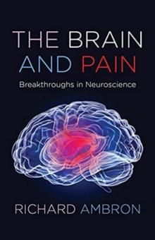 The Brain and Pain : Breakthroughs in Neuroscience