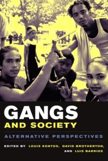 Gangs and Society : Alternative Perspectives