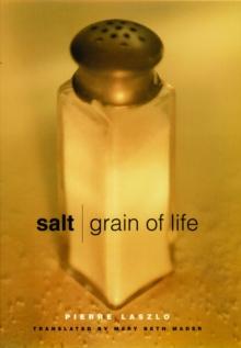 Salt : Grain of Life