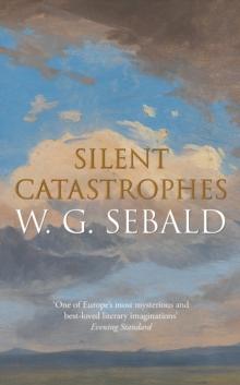 Silent Catastrophes : Essays In Austrian Literature