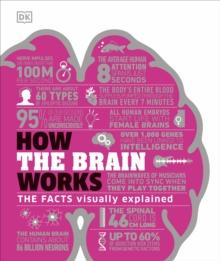 How the Brain Works : The Facts Visually Explained