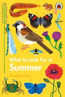 What to Look For in Summer