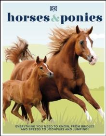 Horses & Ponies : Everything You Need to Know, From Bridles and Breeds to Jodhpurs and Jumping!