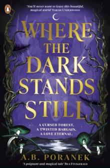 Where the Dark Stands Still : A sweeping, gothic YA fairytale romance