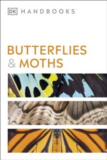 Butterflies and Moths