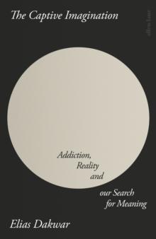 The Captive Imagination : Addiction, Reality and our Search for Meaning