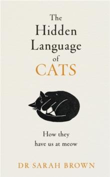 The Hidden Language of Cats : Learn what your feline friend is trying to tell you