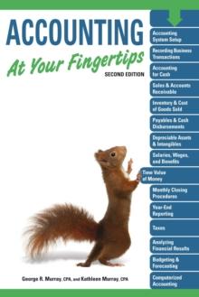 Accounting At Your Fingertips, 2e