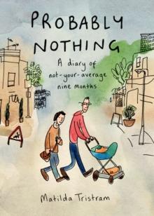 Probably Nothing : A diary of not-your-average nine months