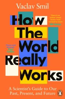 How the World Really Works : A Scientists Guide to Our Past, Present and Future