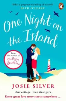 One Night on the Island : Escape to a remote island with this chemistry-filled love story