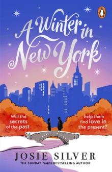 A Winter in New York : The delicious new wintery romance from the Sunday Times bestselling author of One Day in December