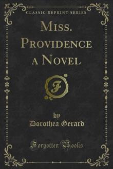 Miss. Providence a Novel