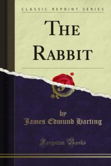 The Rabbit