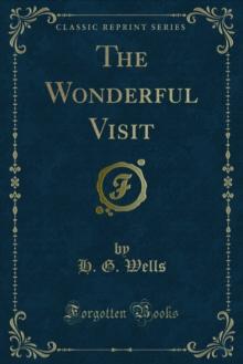 The Wonderful Visit