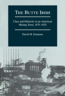 The Butte Irish : Class and Ethnicity in an American Mining Town, 1875-1925