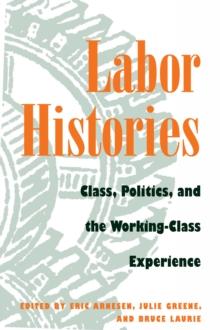 Labor Histories : Class, Politics, and the Working-Class Experience