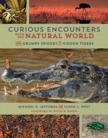 Curious Encounters with the Natural World : From Grumpy Spiders to Hidden Tigers