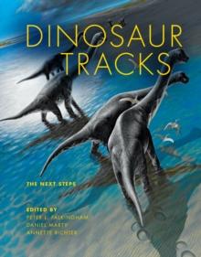 Dinosaur Tracks : The Next Steps