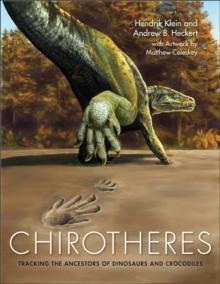 Chirotheres : Tracking the Ancestors of Dinosaurs and Crocodiles