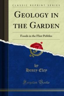 Geology in the Garden : Fossils in the Flint Pebbles