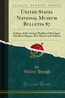 United States National Museum Bulletin 87 : Culture of the Ancient Pueblos of the Upper Gila River Region, New Mexico and Arizona