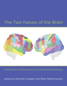 The Two Halves of the Brain : Information Processing in the Cerebral Hemispheres