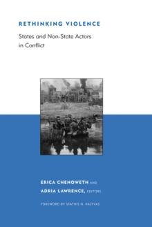 Rethinking Violence : States and Non-State Actors in Conflict