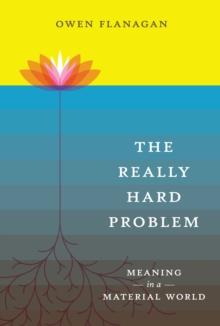 The Really Hard Problem : Meaning in a Material World