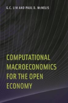 Computational Macroeconomics for the Open Economy