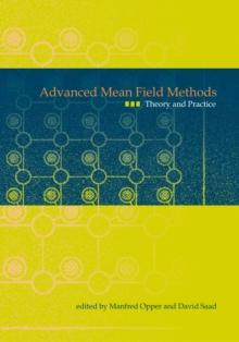 Advanced Mean Field Methods : Theory and Practice