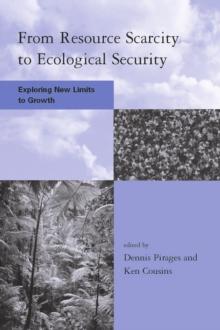 From Resource Scarcity to Ecological Security : Exploring New Limits to Growth